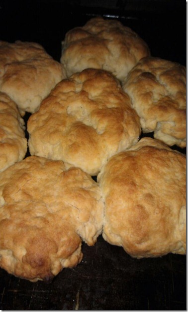 biscuits from scratch