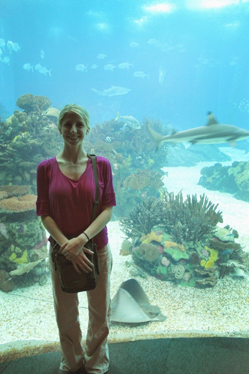 [Portugal%2520Day%2520Two%2520Aquarium%255B4%255D.jpg]