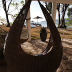 IMG_6970.jpg