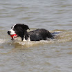 IMG_9434.JPG