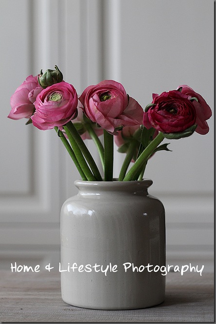 Home & Lifestyle Home & Lifestyle