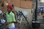 Shilpgram, India 357.JPG