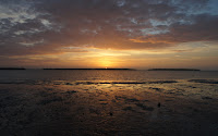 DSC00925.JPG