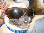 Ray Charles