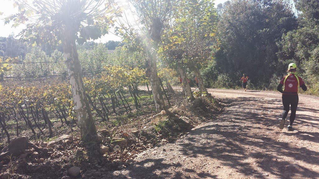 [20140503_102540%255B5%255D.jpg]