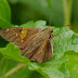 P1110679