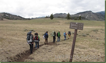 BlackTailTrail Yellowstone(a) BlackTailTrail Yellowstone(a)