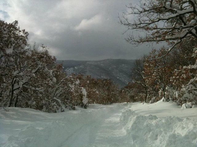 [bosco%2520neve%255B3%255D.jpg]