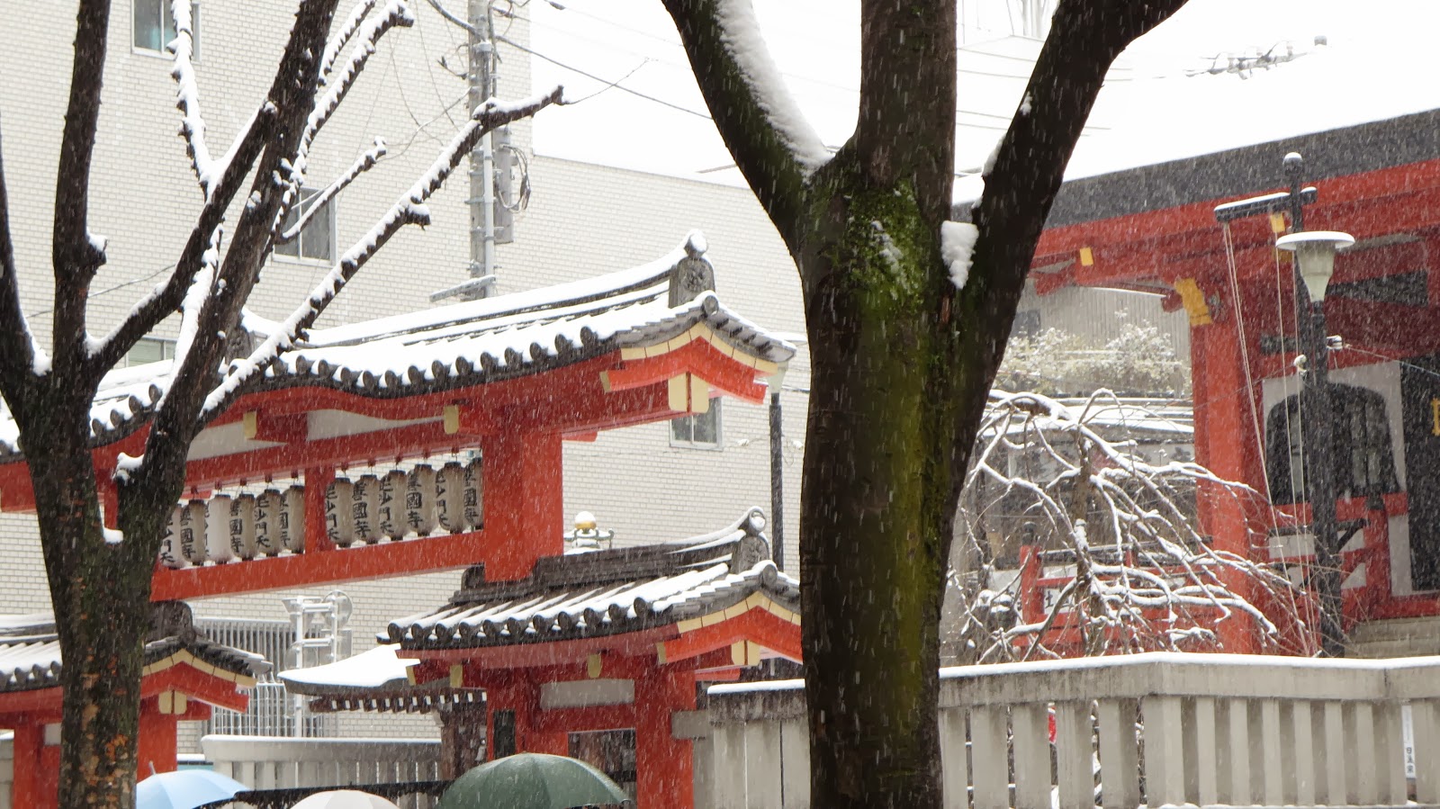 [IMG_0288%255B3%255D.jpg]