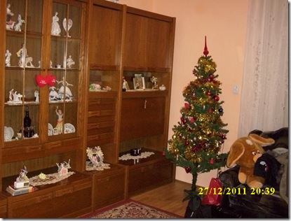 IMG_1771 IMG_1771