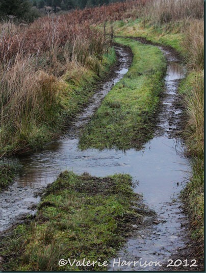 22-flooded-path