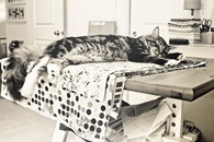 _MG_5670-Edit