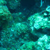 Penny August Cruise 08 170.JPG
