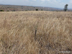 Akagera Nationalpark