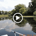 DSCN3078-MOTION.gif