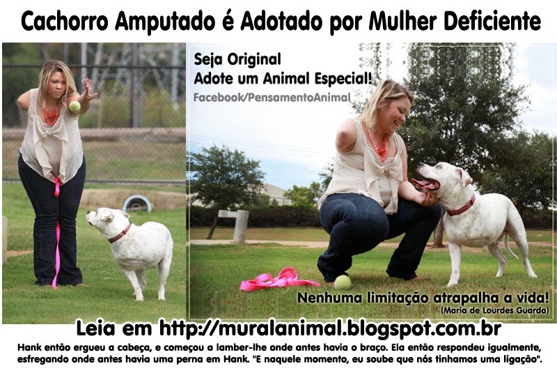 [cachorro-amputado%255B3%255D.jpg]