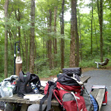 Legal Camping at Lackawaana State Park