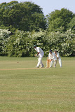 IMG_5370.JPG