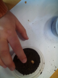 [image%255B6%255D.png]