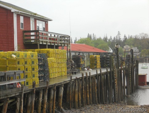 5. Lobster cages-kab