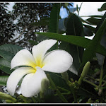 IMG_8648.JPG
