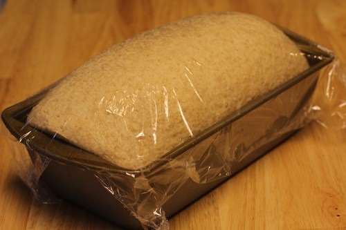[honey-graham-oatmeal-bread014%255B5%255D.jpg]