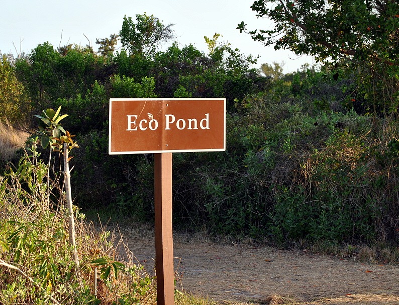 [01---Early-Morning-Eco-Pond-Sign11.jpg]