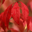 DSC_6990.jpg