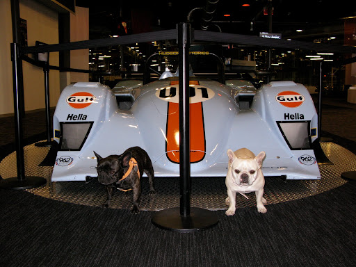 Do you think we'd make nice hood ornaments?