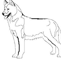 husky
