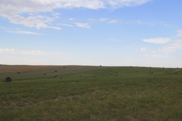 [IMG_3740%2520-%25201%255B3%255D.jpg]