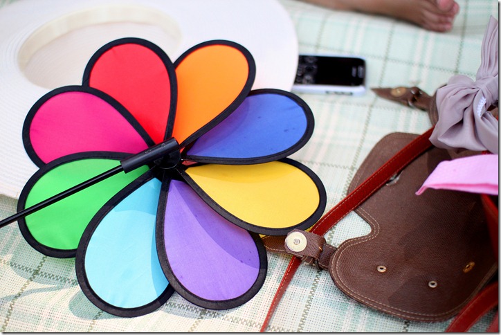 IMG_4009