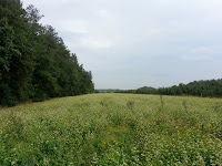 20120915_112536.jpg Photo 20120915_112536.jpg Photo