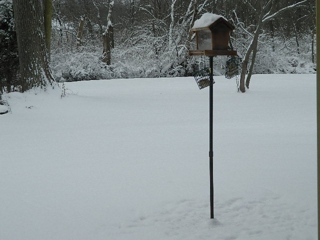 [DSCN0206%255B4%255D.jpg]