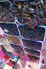 DSC00074.JPG