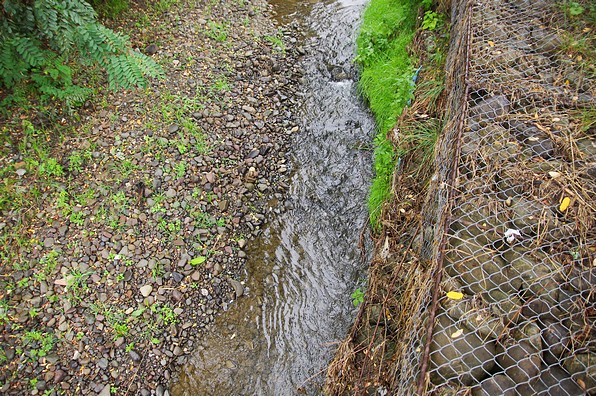 06.jpg