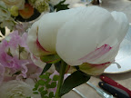 The pink on this bloom reminded me of a watercolor painting.