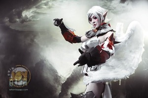 Lineage 2: Beatuful Girls Cosplaying Lineage II
