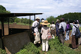 DSC08204.JPG