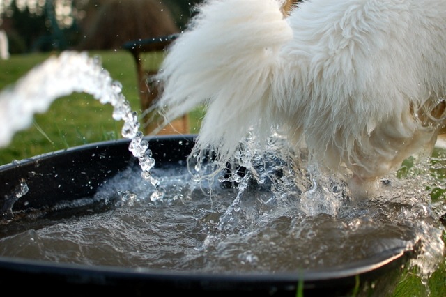 [DSC_5592%255B4%255D.jpg]