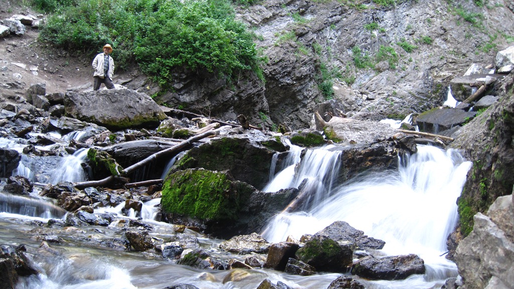 [IMG_42924.jpg]