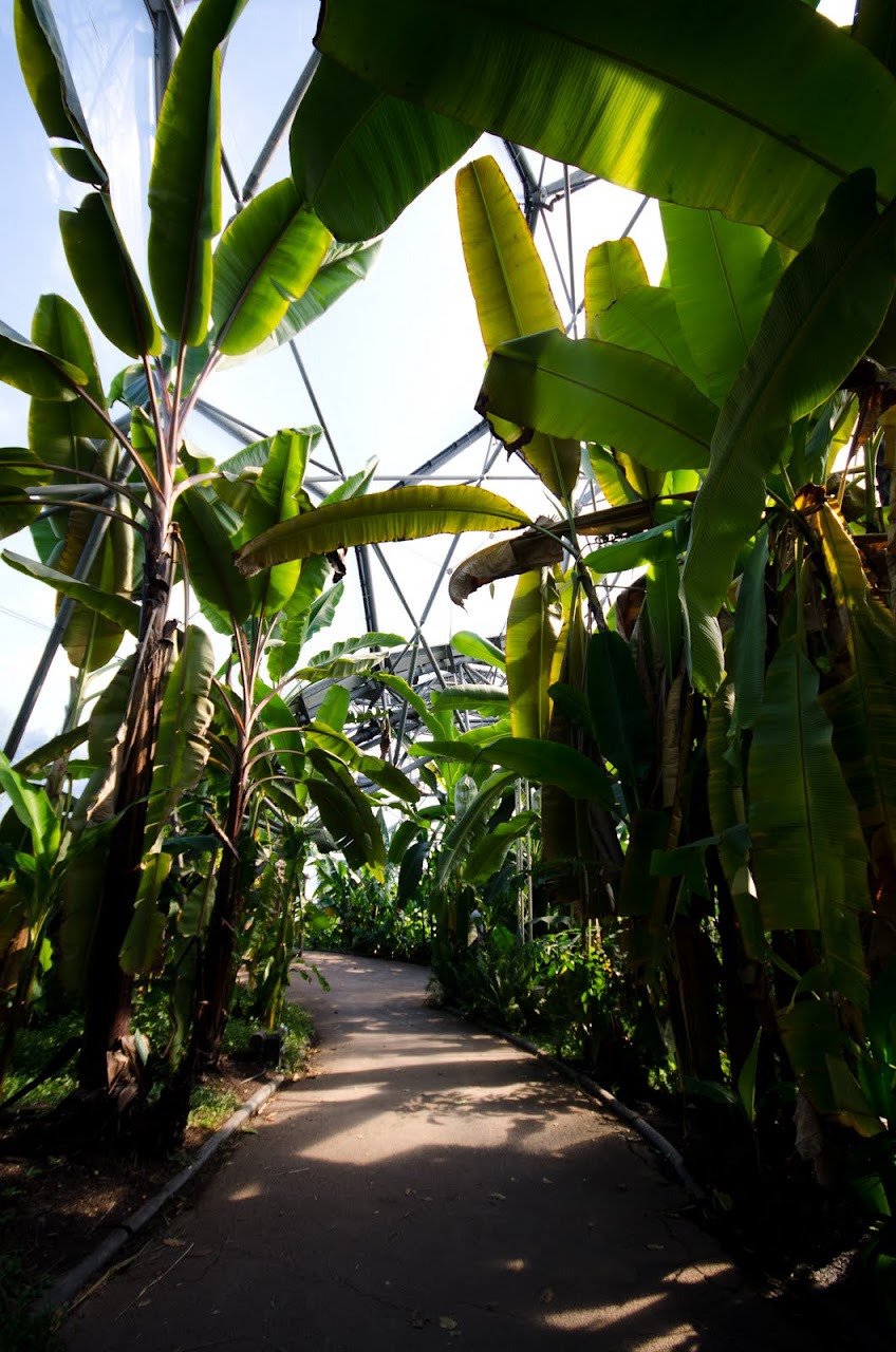 Eden Project