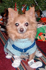 Dolly Parton