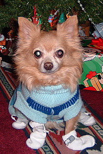 Dolly Parton