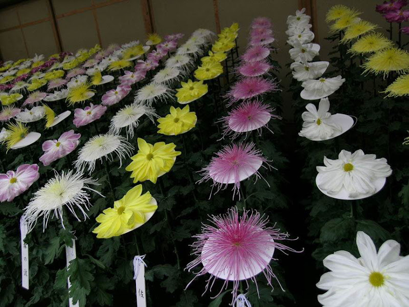 The art of Gardening