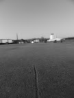 P1030013.JPG