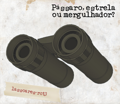 Pássaro, estrela ou meragulhador (lassoares-rct3)