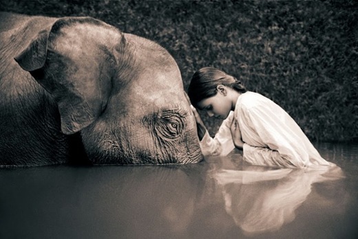 gregory_colbert