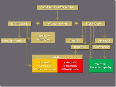 Patofisiologi HG Patofisiologi HG