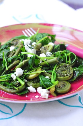 [FH_kale%255B4%255D.jpg]